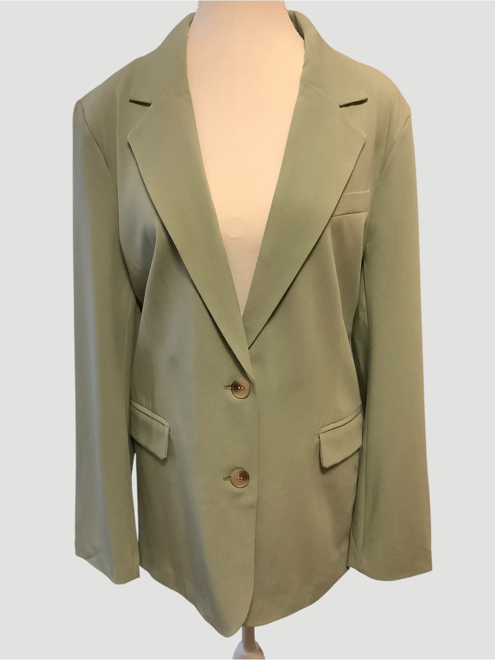 Dynamite Lorelei 2 Button Blazer NWT Sage Green XL